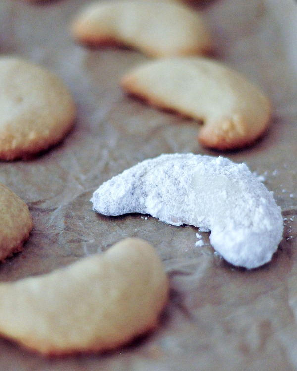 A vegan vanilla crescent cookie covered in powdered sugar and surrounded by un-sugared cookies