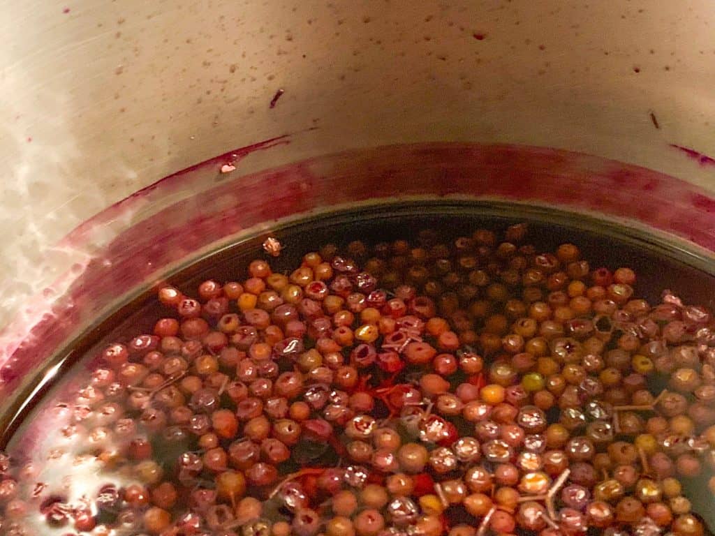 elderberry syrup mixture boiled down by half