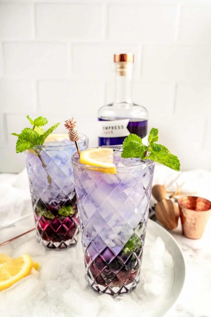 Photo of two blueberry gin mojitos with a lemon and mint garnish in a tray with ice.
