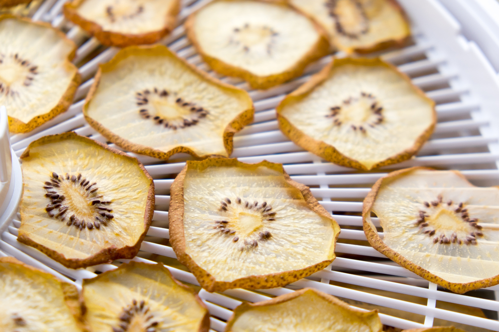 photo shows dehydrated kiwis made in a food dehydrator