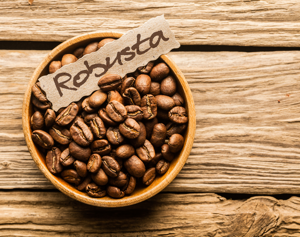 Robusta  Beans in a bowl 