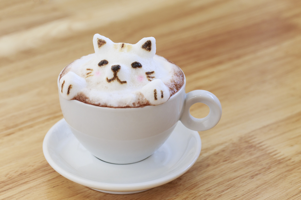 Cappuccino  with foam made into a cat 