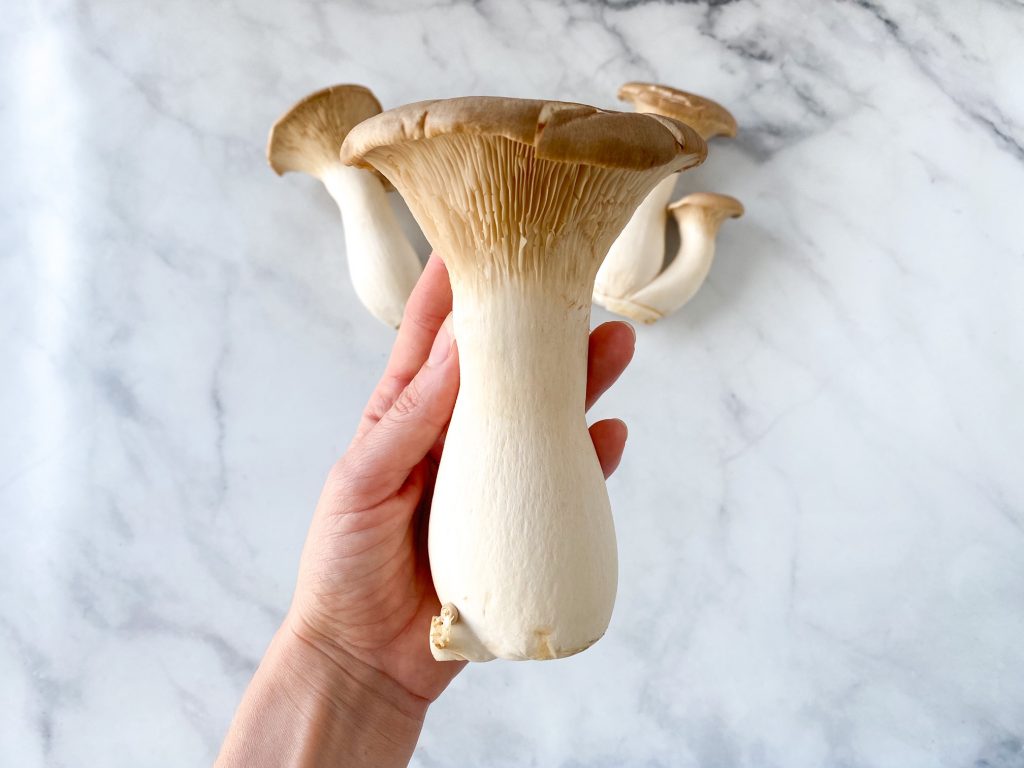 holding a giant king oyster mushroom