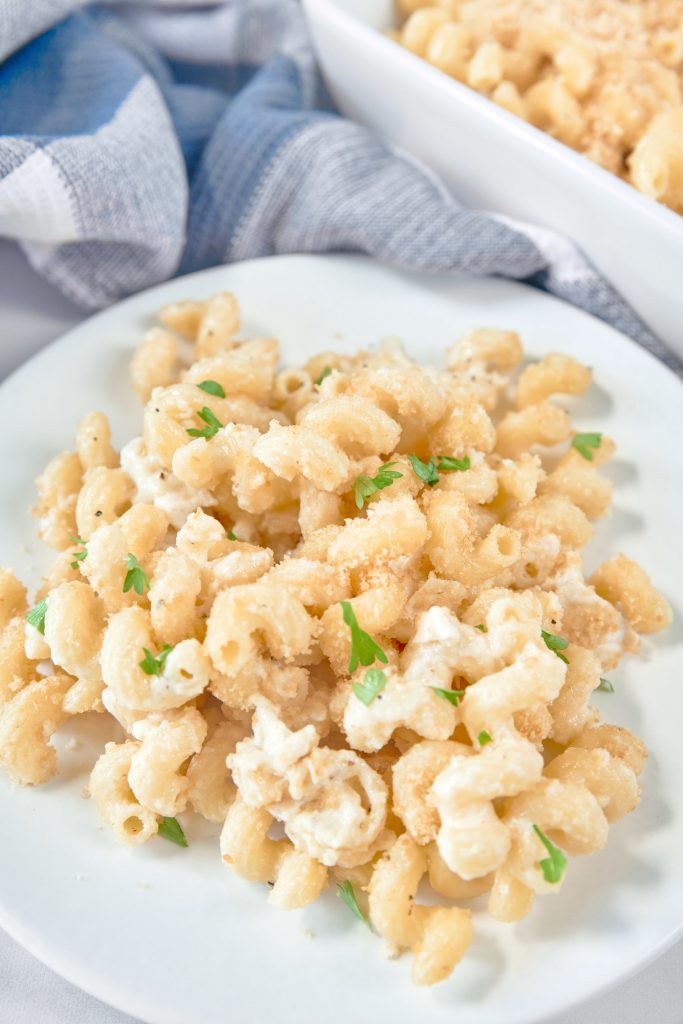 close up on brie mac and cheese on a white plate