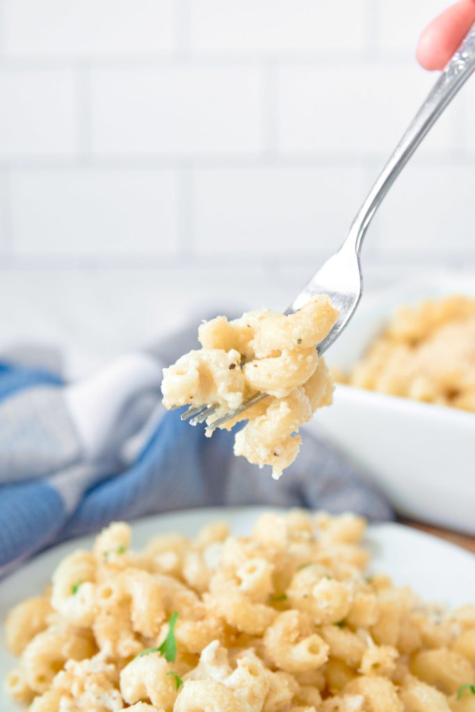 brie mac and cheese lifted on a fork with dish in the background with blue dish towel