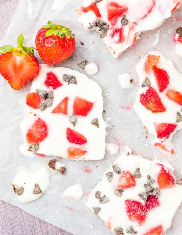 frozen yogurt bark with chocolate chips and strawberries
