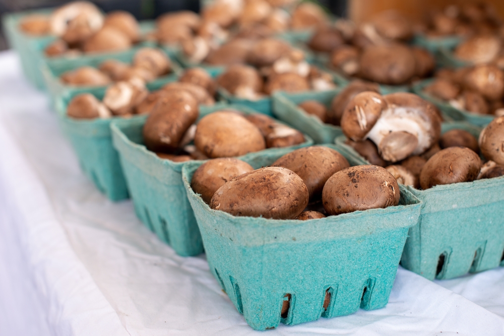 Mushrroms on a table in blue punnets. 